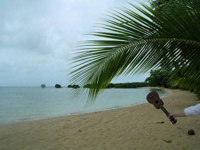 Fiji Snapshots by Joe Connors