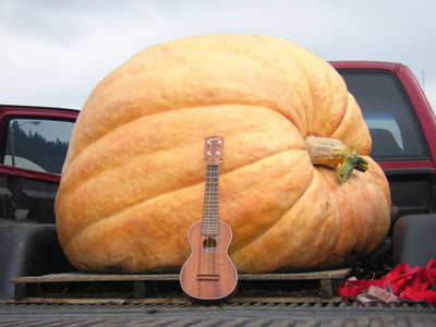 Giant Pumpkin by Joel Myer