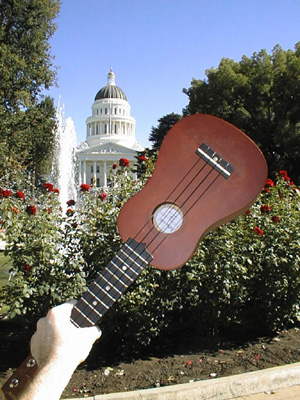 CA State Capital by Dan Bluestein