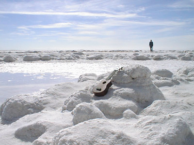 Salt Lake Spiral Jetty by Dan Bluestein