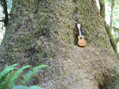 Uke Tree by Charly Castor