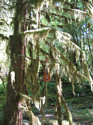 Uke Tree by Charly Castor